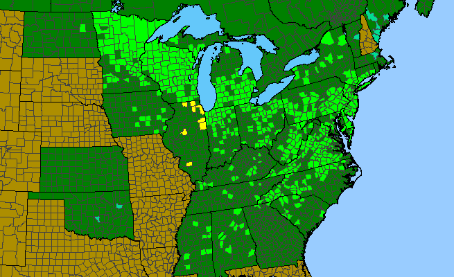The range of Helianthus giganteus
